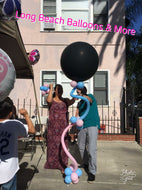 Gender Reveal